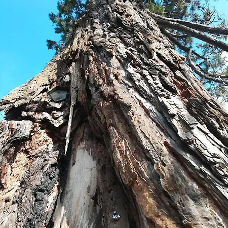 Sellin - Am Neuensiener 08 Appartamento *