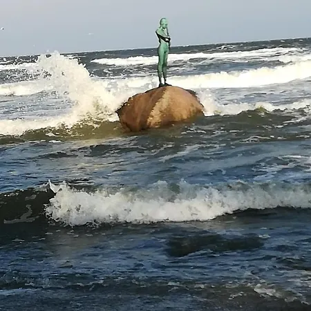 Sellin - Am Neuensiener 08 *