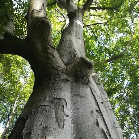 Appartamento Sellin - Am Neuensiener 08