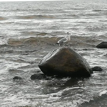 Appartamento Sellin - Am Neuensiener 08